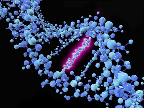 Nokta mutasyonu, bir DNA veya RNA sekansından tek bir nükleotit bazının değiştirildiği, eklendiği veya silindiği genetik bir mutasyondur.