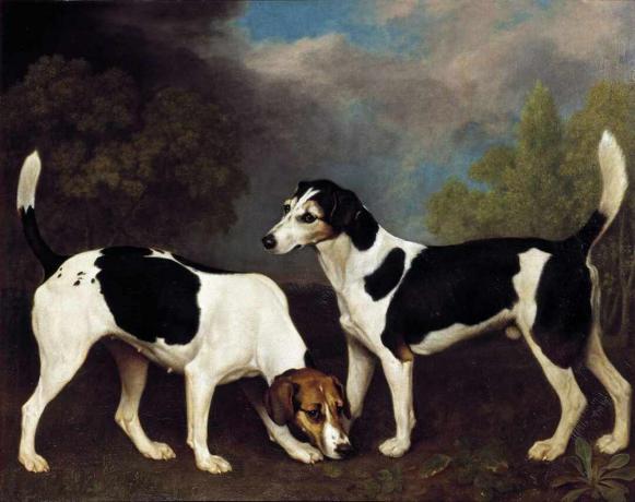 george stubbs birkaç tilki