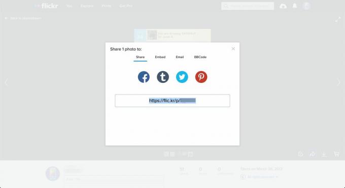 Flickr'daki paylaşım URL'si