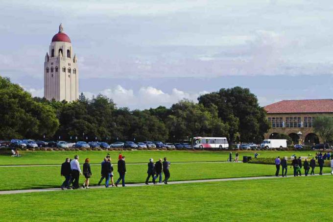 Stanford Üniversitesi