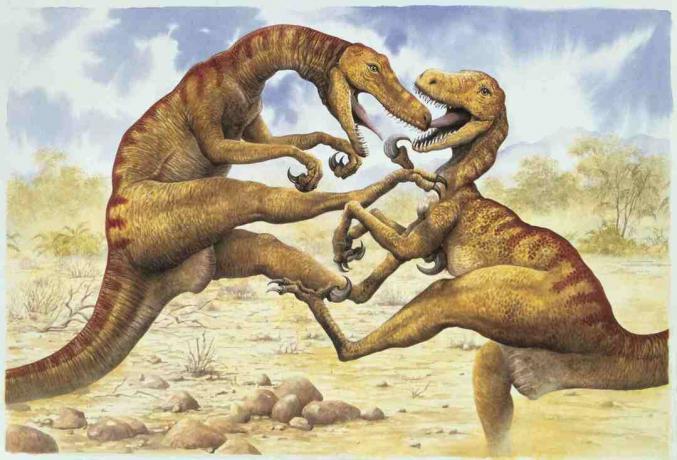 İki utahraptor mücadele yan profili