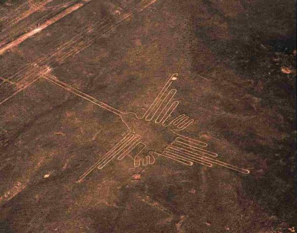 Sinek kuşu Geoglyph, Nazca çizgileri havadan görünümü