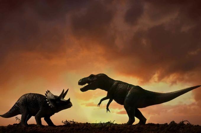 Bir Triceratops ve bir Tyrannosaurus Rex.