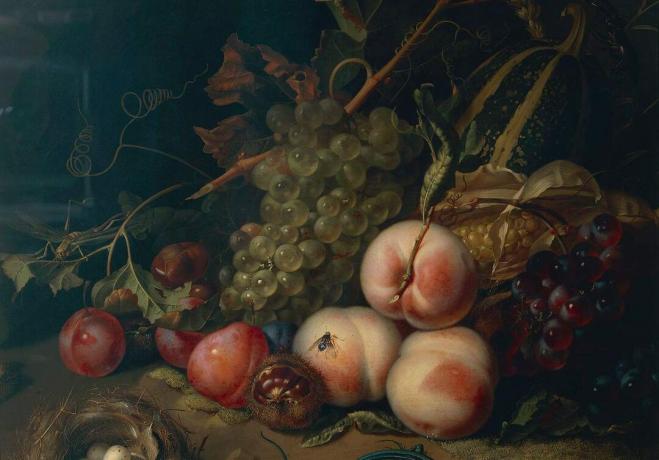 Comp Save to Board İtalya, Floransa, Meyve ve böceklerle natürmort, Rachel Ruysch, 1711, tuval üzerine yağlıboya, detay