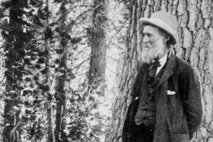 John Muir ormanda fotoğrafı