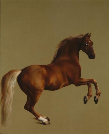 george stubbs düdük