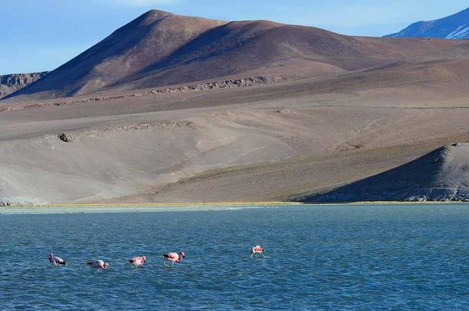 Atacama, Şili