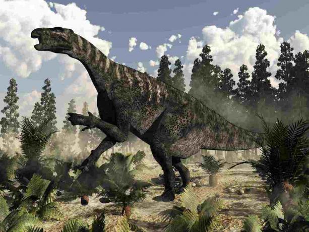 Eğrelti otları, sikaslar ve wollemia bitkileri ile çevrili iken kükreyen Iguanodon dinozor.