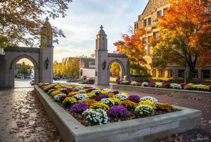 Okulumu Seviyorum, Özellikle Sonbaharda - Indiana University Of Bloomington