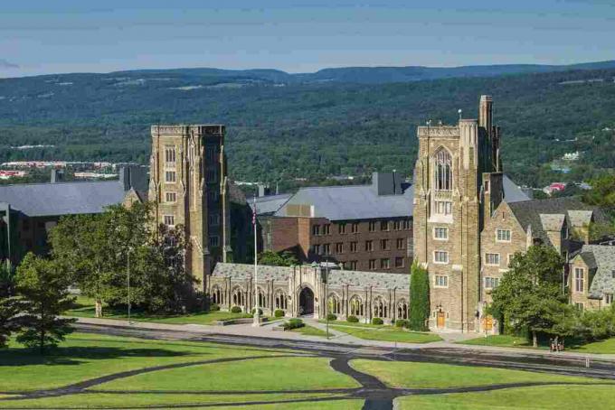 ABD, New York, Ithaca, Cornell Üniversitesi