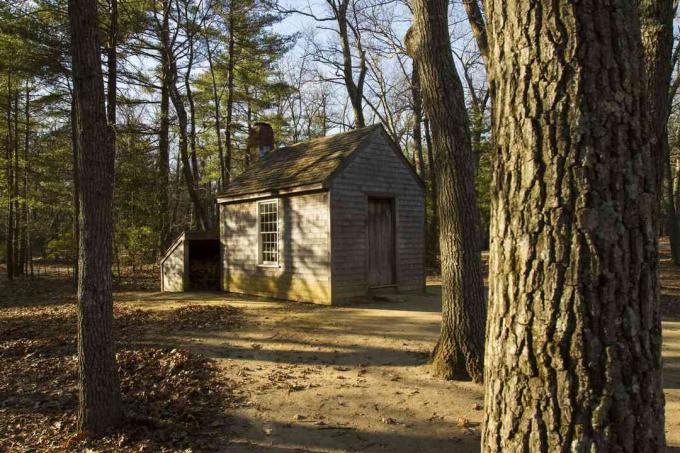 Thoreau'nun Kabini Walden Pond'da