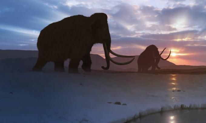 Tundra Mamut'un eserleri