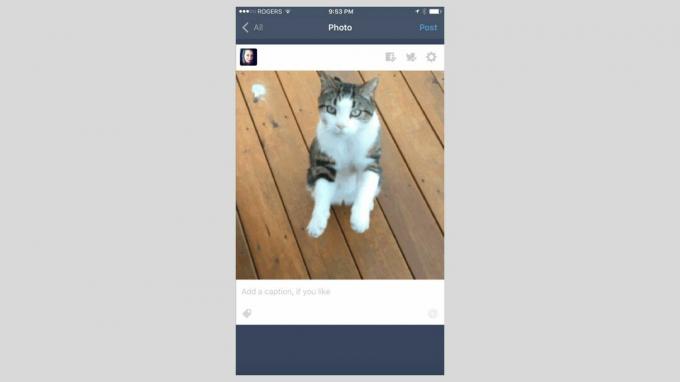iOS için Tumblr uygulamasının ekran görüntüsü.