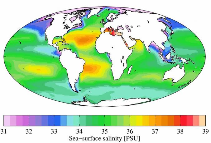 2009 Dünya Okyanus Atlası'ndan yıllık ortalama deniz yüzeyi tuzluluğu. Tuzluluk, pratik tuzluluk birimlerinde (PSU) listelenmiştir.