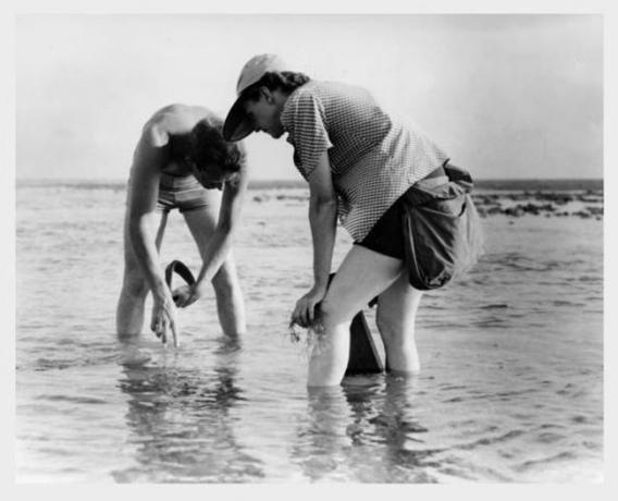 Rachel Carson ve Bob Hines Florida'da deniz biyolojisi araştırmaları yürütüyor