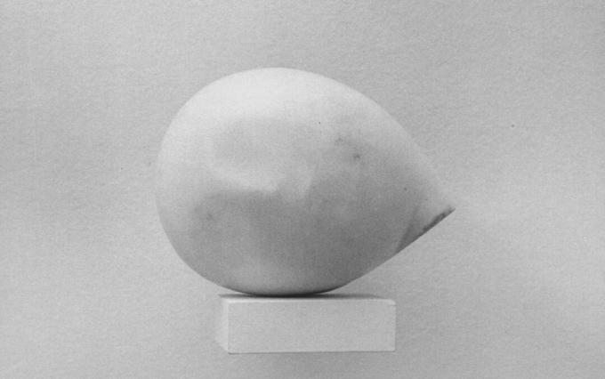 Constantin Brancusi Prometheus Başkanı