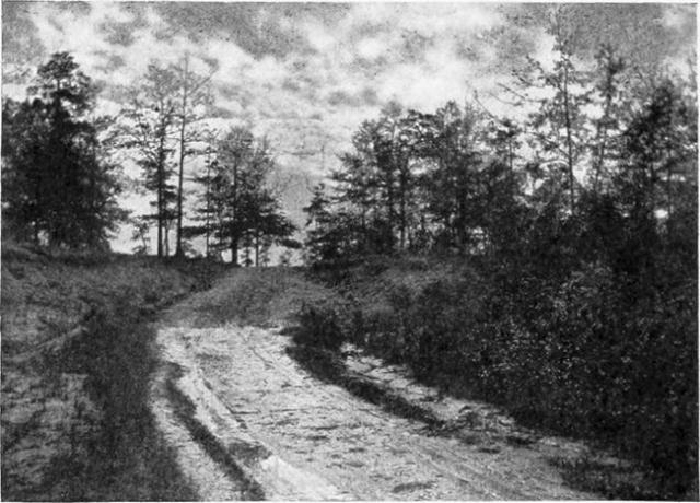 Aaron Burr'ın yakalandığı yer, Wakefield, Alabama yakınlarında.