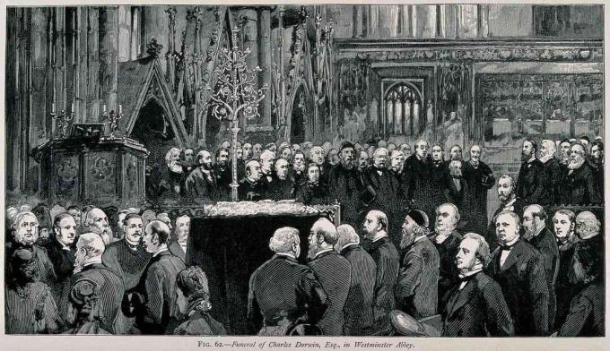 Charles Darwin'in Westminster Abbey'deki cenaze töreni, Nisan 1882