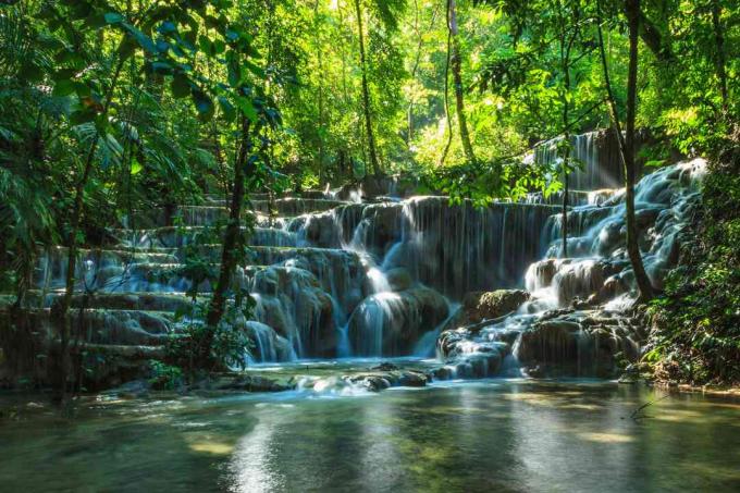 Doğal şelale ve Cascades Palenque yakınındaki