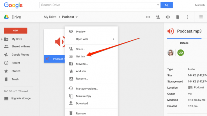 Bağlantıyı Google Drive Ekran Görüntüsü'nde alın