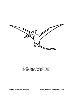 Pterosaurs: Uçan Sürüngenler