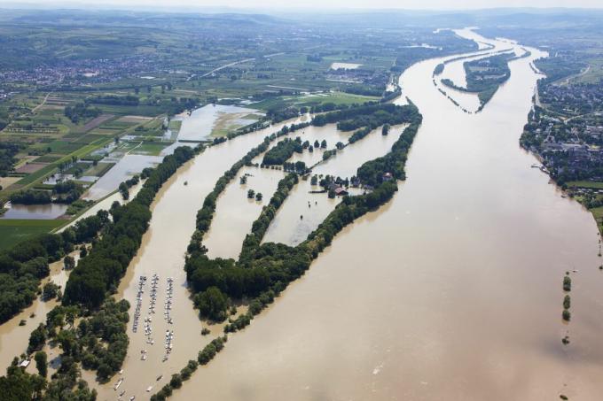 Almanya, hesse, eltville, taşkın, yüzünden, nehir rhine, ada, Koenigskling, Aue, havai foto