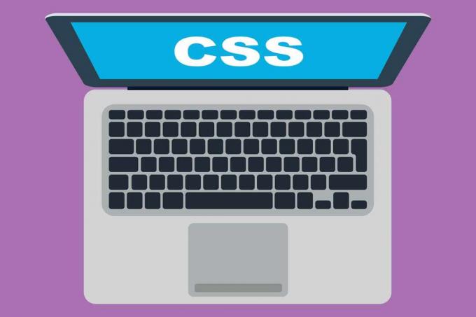 Ekranda CSS kelimesi olan dizüstü bilgisayar